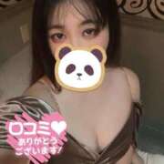 ヒメ日記 2025/10/20 15:20 投稿 さとり 奥様特急新潟店