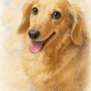 すず いいお天気！ 横浜おかあさん