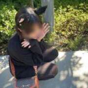 ヒメ日記 2025/12/10 17:33 投稿 さとり 奥様特急三条店