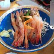 日鞠(ひまり) ︎💕︎︎お礼︎💕︎︎ 高知デリヘル倶楽部 人妻熟女専門店