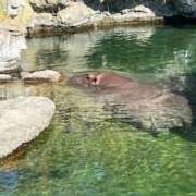 ヒメ日記 2025/12/03 08:14 投稿 わかめ CLUB DEEP