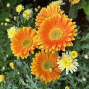 MEGUMI 2月最後！出勤してます🎀🐾 私はキャサリン