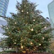 ヒメ日記 2025/12/16 20:27 投稿 鈴川乃愛 ハールブルク