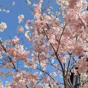 ヒメ日記 2026/03/25 17:28 投稿 鈴川乃愛 ハールブルク