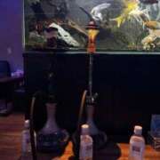 ヒメ日記 2025/12/08 16:14 投稿 春園いちか HYPER TOKYO