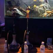 ヒメ日記 2026/02/27 16:54 投稿 春園いちか HYPER TOKYO