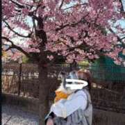 春園いちか 🎀春の訪れ HYPER TOKYO