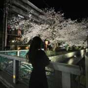 ヒメ日記 2026/04/05 14:03 投稿 梨乃(りの) 相模原人妻城