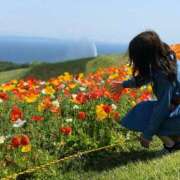 ヒメ日記 2026/04/05 21:03 投稿 梨乃(りの) 相模原人妻城