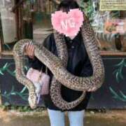 ヒメ日記 2025/11/15 17:33 投稿 桃咲　れあ プルプル倶楽部 札幌すすきの店