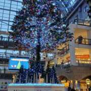 ヒメ日記 2025/11/19 10:18 投稿 桃咲　れあ プルプル倶楽部 札幌すすきの店