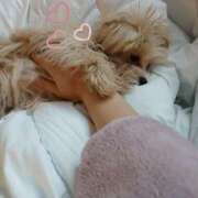 ヒメ日記 2025/12/16 21:33 投稿 桃咲　れあ プルプル倶楽部 札幌すすきの店