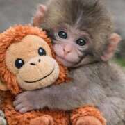 ヒメ日記 2026/02/26 13:02 投稿 モエ ミセスClub