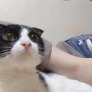 ヒメ日記 2025/12/04 19:44 投稿 りら ふわふわコレクション