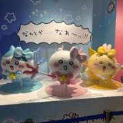 ヒメ日記 2026/01/06 13:13 投稿 ちさと 完全未経験のおっとり系！ ウエスト・コム