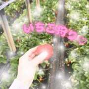 ヒメ日記 2026/01/29 14:36 投稿 みゆ 新小岩デリヘル ラブセレクション