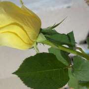 みちえ こんにちは 京橋熟女