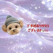 ヒメ日記 2025/11/10 14:05 投稿 むく 栃木小山ちゃんこ