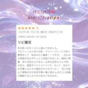 ヒメ日記 2025/11/19 11:00 投稿 むく 栃木小山ちゃんこ