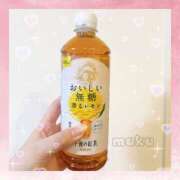 ヒメ日記 2026/01/21 15:03 投稿 むく 栃木小山ちゃんこ