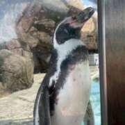 ヒメ日記 2025/10/21 17:16 投稿 もも ルネッサンス