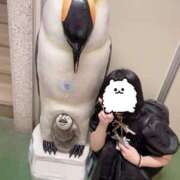 ヒメ日記 2025/10/24 13:06 投稿 もも ルネッサンス