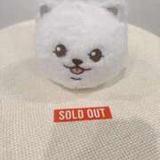 ヒメ日記 2025/12/19 13:30 投稿 もも ルネッサンス