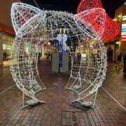 ヒメ日記 2025/12/29 14:31 投稿 もも ルネッサンス