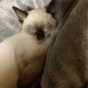 ヒメ日記 2025/10/18 19:30 投稿 まどか(昭和44年生まれ) 熟年カップル名古屋～生電話からの営み～