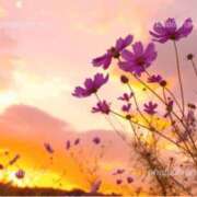 まどか(昭和44年生まれ) 本日もありがとうございました 熟年カップル名古屋～生電話からの営み～