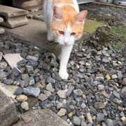 ヒメ日記 2026/09/28 15:28 投稿 まゆ 熊谷人妻城