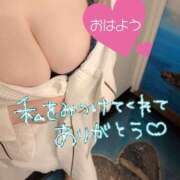 ヒメ日記 2026/02/22 08:40 投稿 きりか モアグループ宇都宮人妻花壇