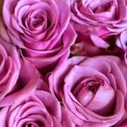 森川つばき ㊗️プロフィール写真更新🎉 アラフォーna奥様 アラフィフna奥様（埼玉ハレ系）