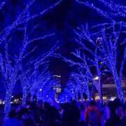 ヒメ日記 2025/12/11 21:32 投稿 森川つばき アラフォーna奥様 アラフィフna奥様（埼玉ハレ系）