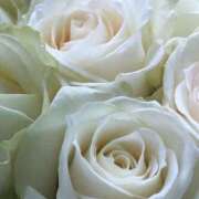 ヒメ日記 2025/12/25 17:15 投稿 森川つばき アラフォーna奥様 アラフィフna奥様（埼玉ハレ系）