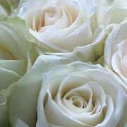 ヒメ日記 2026/01/08 06:00 投稿 森川つばき アラフォーna奥様 アラフィフna奥様（埼玉ハレ系）