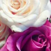 ヒメ日記 2026/01/10 16:16 投稿 森川つばき アラフォーna奥様 アラフィフna奥様（埼玉ハレ系）