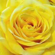 森川つばき 昔、君のことが好きだった💕 アラフォーna奥様 アラフィフna奥様（埼玉ハレ系）