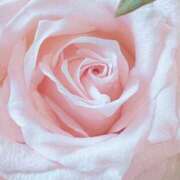 ヒメ日記 2026/02/12 17:55 投稿 森川つばき アラフォーna奥様 アラフィフna奥様（埼玉ハレ系）