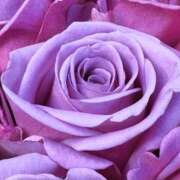 ヒメ日記 2026/02/28 11:52 投稿 森川つばき アラフォーna奥様 アラフィフna奥様（埼玉ハレ系）