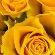 ヒメ日記 2026/02/28 22:02 投稿 森川つばき アラフォーna奥様 アラフィフna奥様（埼玉ハレ系）