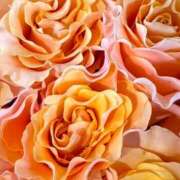 ヒメ日記 2026/03/04 12:11 投稿 森川つばき アラフォーna奥様 アラフィフna奥様（埼玉ハレ系）