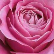 森川つばき ダメと言われても アラフォーna奥様 アラフィフna奥様（埼玉ハレ系）