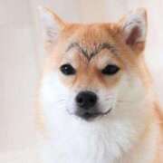 ヒメ日記 2026/03/12 13:44 投稿 森川つばき アラフォーna奥様 アラフィフna奥様（埼玉ハレ系）