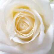 ヒメ日記 2026/03/20 13:21 投稿 森川つばき アラフォーna奥様 アラフィフna奥様（埼玉ハレ系）