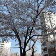 ヒメ日記 2026/03/29 21:27 投稿 森川つばき アラフォーna奥様 アラフィフna奥様（埼玉ハレ系）