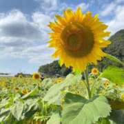 ヒメ日記 2026/07/09 08:47 投稿 森川つばき アラフォーna奥様 アラフィフna奥様（埼玉ハレ系）