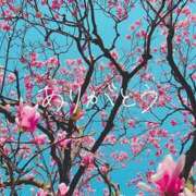 ヒメ日記 2025/12/13 14:04 投稿 りお 丸妻 厚木店