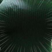 ヒメ日記 2026/01/31 14:05 投稿 りお 丸妻 厚木店