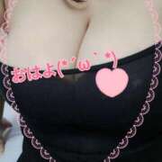 ヒメ日記 2026/04/12 11:00 投稿 りお 丸妻 厚木店